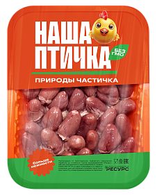 СЕРДЦЕ