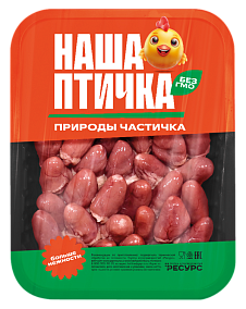 СЕРДЦЕ